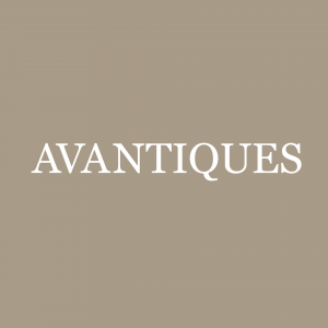 Social Media Skin - Avantiques